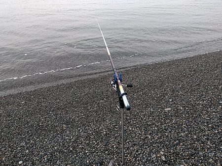 二日連続でアオリイカ釣れました!!