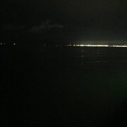 アジングきびしー