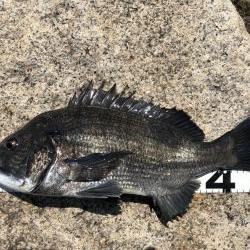 イチノ兄弟、釣果！