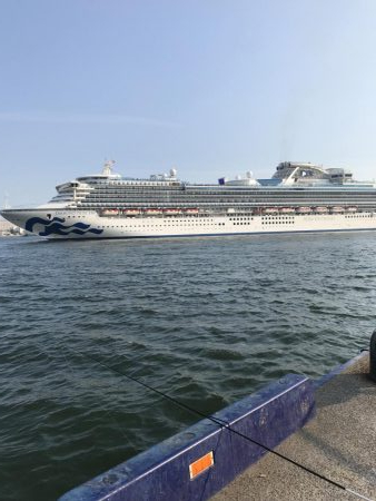 神戸港ツバス・モジャコ