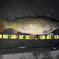 びっくりした。。