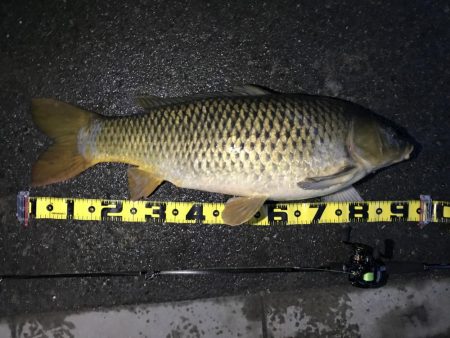 びっくりした。。