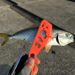 ポーアイ沖堤防