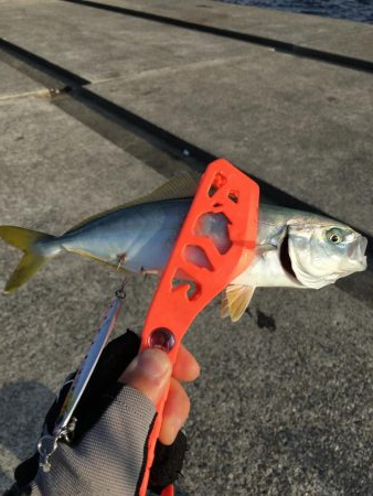 ポーアイ沖堤防