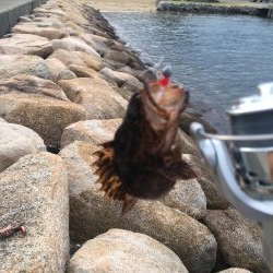 初めての荒津で