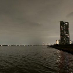 チニングの季節