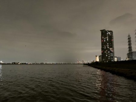 チニングの季節