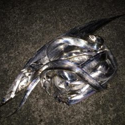 時合は22時から？