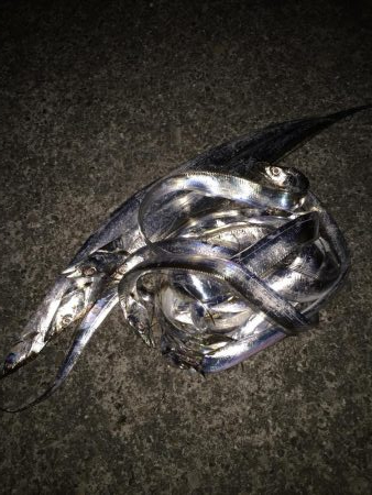 時合は22時から？