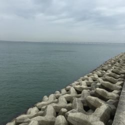 今日はこんなもんやな!