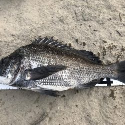 イチノ兄弟、釣果！