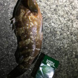 イェーイ!!!前田!!見てるぅ〜!?