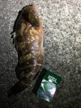 イェーイ!!!前田!!見てるぅ〜!?