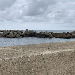 アジ、溜まってます！