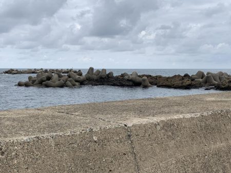 アジ、溜まってます！