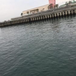 ファミリーフィッシング