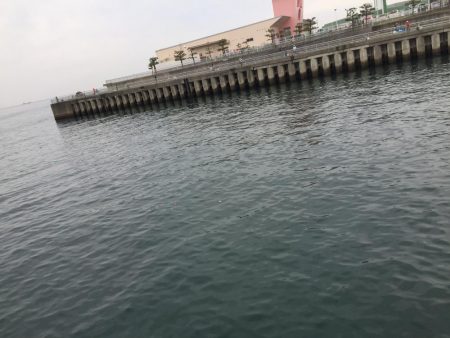 ファミリーフィッシング