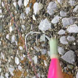 昼休みにオクトパッシング!