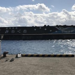 そこそこの釣果