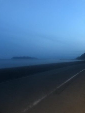 シーバス狙いのはずが・・・