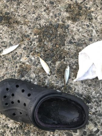 モジャ公とゆかいな仲間たち