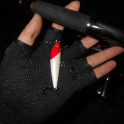 CD7でテトラ際を狙ってみる