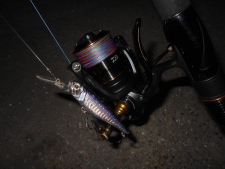 マメに探って1本…