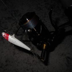 思った程では無い…。