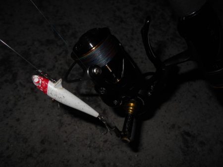 思った程では無い…。