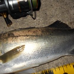 状況に応じて狙い分ける