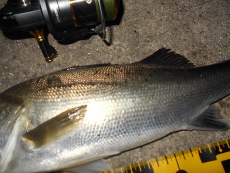 状況に応じて狙い分ける