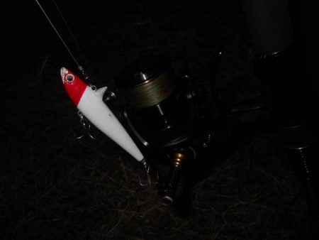 時合いはかなり短い…。