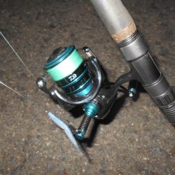 久しぶりのバスフィッシング…