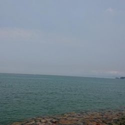 肘たたくんかえ!