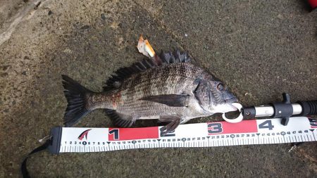 梅雨になる前に❗