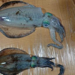 令和4杯目です！