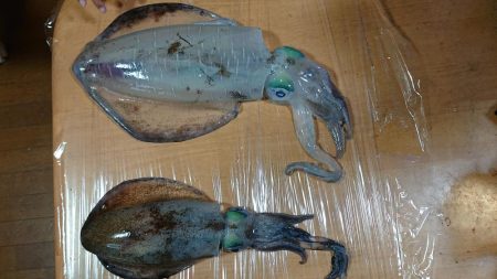 令和4杯目です！