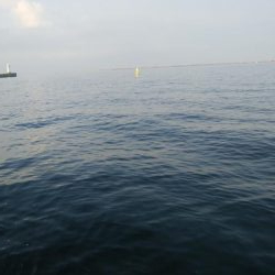 今日はツバス狙い