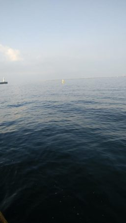 今日はツバス狙い