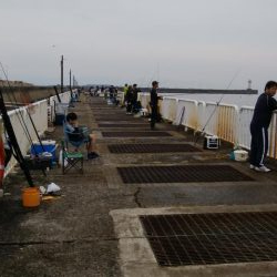 今日もツバス釣り