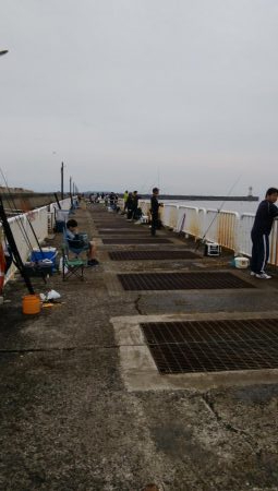 今日もツバス釣り