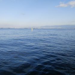 ツバス&ブリ狙い釣行