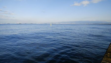 ツバス&ブリ狙い釣行