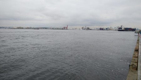 シーサイドコスモでツバス