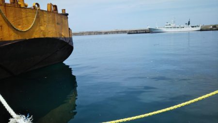 豆アジの1本釣り