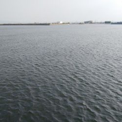 今日は一転シブい