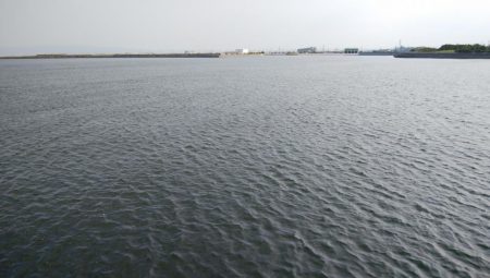 今日は一転シブい