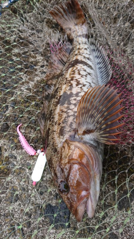 投げ釣り合間にカレイング