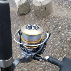 雨降る前にツバス釣り