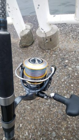 雨降る前にツバス釣り